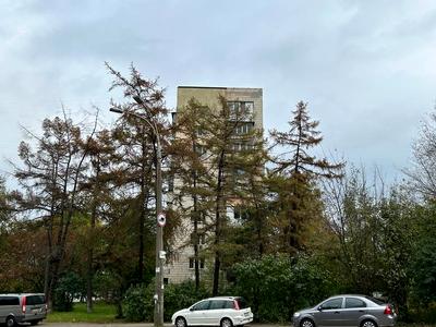 квартира за адресою Кирилівська вул. (Фрунзе), 131