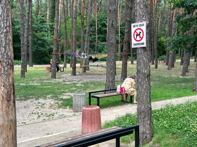 квартира по адресу Светлая ул., 3д