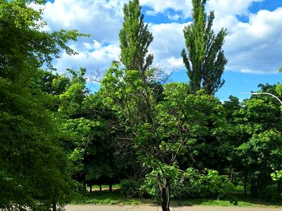 квартира по адресу Уманская ул., 41