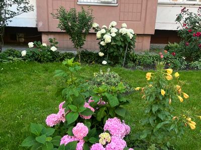 квартира за адресою Олени Пчілки вул., 2-Б