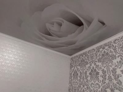 квартира за адресою Генерала Олекси Алмазова вул. (Генерала Карпенка), 59