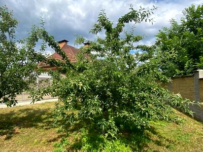 будинок за адресою Набережна, 12