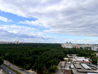 квартира по адресу Миропольская ул., 39