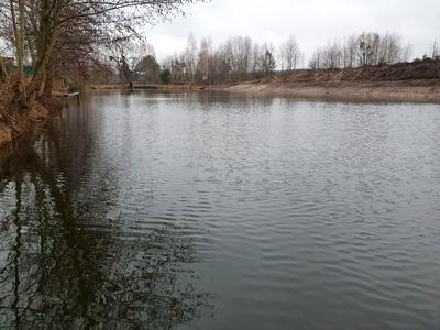 будинок за адресою с. Колонщина, Садова