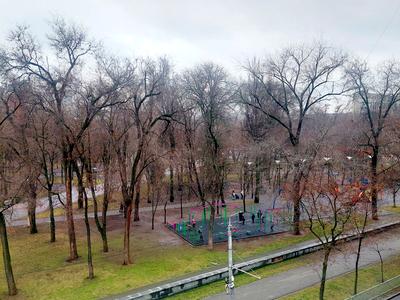 квартира за адресою Старокозацька, 50б