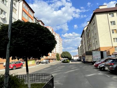 квартира за адресою Волинська вул., 12