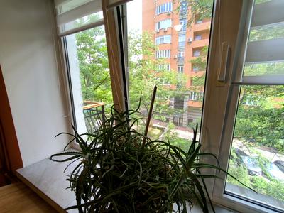 квартира по адресу Златоустовская ул., 51