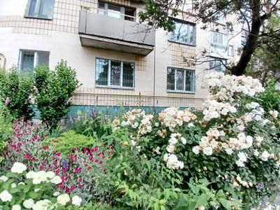 квартира по адресу Георгія Дудника ул. (Цюрупинська), 2