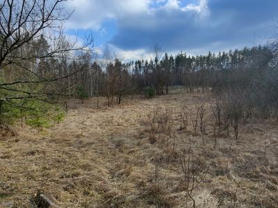 будинок за адресою Партизанська, 87