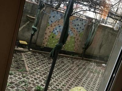 квартира за адресою Дача Ковалевського вул., 101А