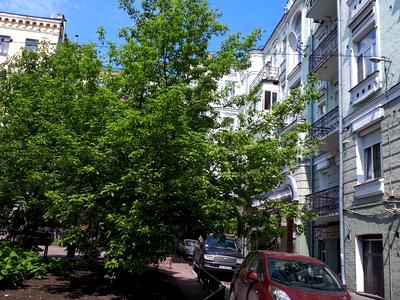 квартира по адресу Рогнединская ул., 5/14