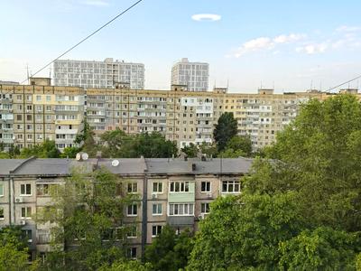 квартира по адресу Янтарная ул., 79