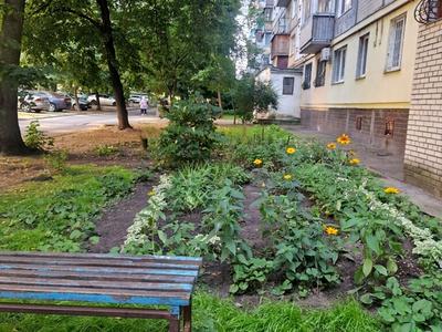 квартира по адресу Якуба Коласа ул., 7