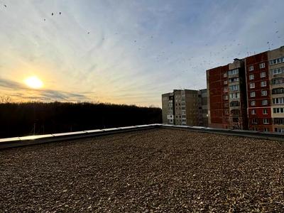 квартира за адресою Червоної Калини просп., 56