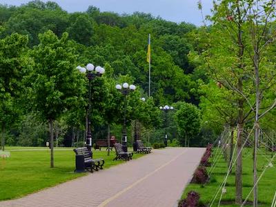 квартира по адресу Уласа Самчука ул. (Столєтова), 56