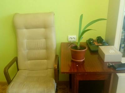 квартира по адресу Тулузы ул., 12