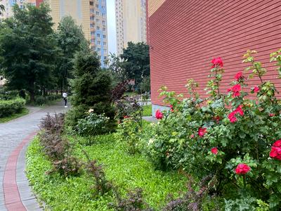 квартира по адресу Юлии Здановской ул. (Ломоносова), 85-Б