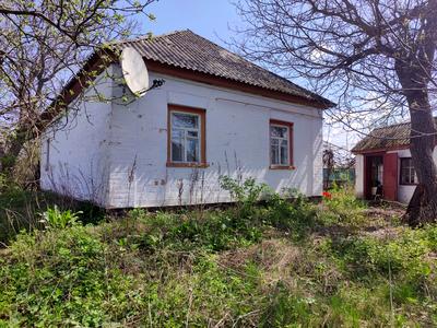 будинок за адресою с. Балаклея, Добросусідська, 22
