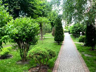 квартира по адресу Васильковая ул., 74