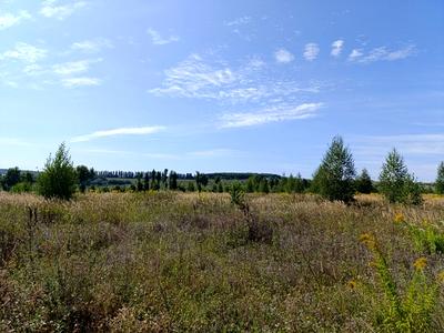 ділянка за адресою с. Лісові Гринівці, Центральна вул.