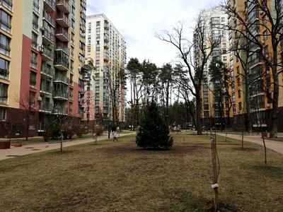 квартира по адресу Анатолия Петрицкого ул., 21-А