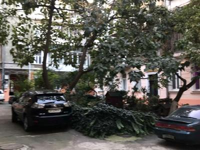 квартира по адресу Софиевская ул., 3