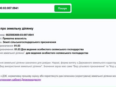 ділянка за адресою с. Лісові Гринівці, Центральна вул.