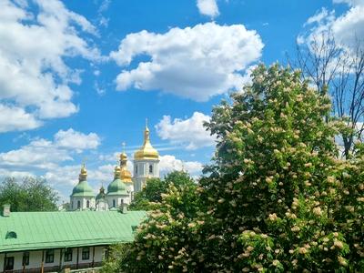 квартира по адресу Стрелецкая ул., 7/6