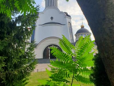 квартира за адресою Дмитра Луценка вул. (Крейсера 