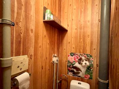 квартира по адресу Парусный пер., 11а