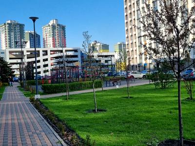 квартира за адресою Тираспольська вул., 58