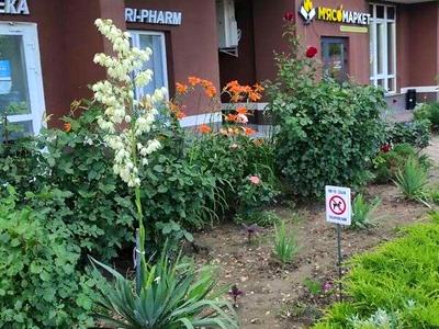 квартира по адресу Полевая ул., 73