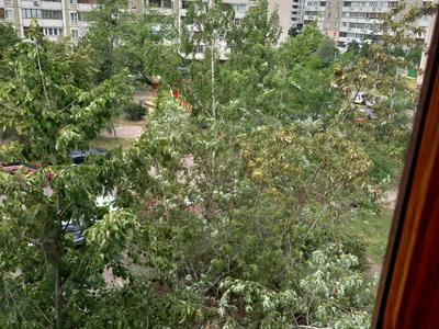 квартира по адресу Бориса Гмыри ул., 9-А