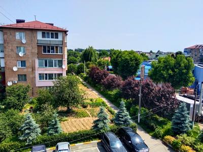 дом по адресу Центральная ул., 126