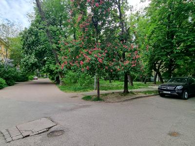 квартира по адресу Авиаконструктора Антонова ул., 2/32
