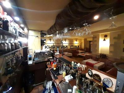 комерційна за адресою Гетьмана Кирила Розумовського вул. (Миколи Краснова), 17