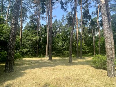 будинок за адресою Лісова вул.