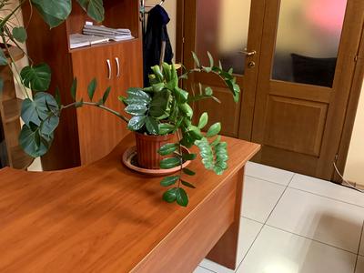 комерційна за адресою Михайлівська пл., 1