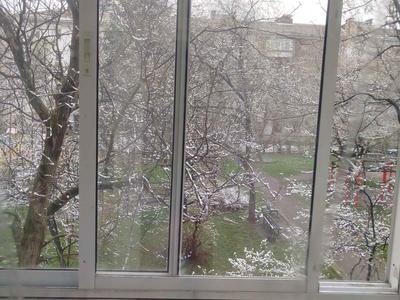 квартира по адресу Павла Загребельного ул. (Миколи Раєвського), 28