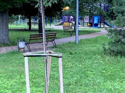 квартира за адресою Уманська вул., 29