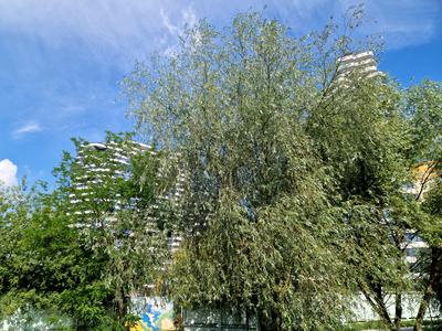 квартира по адресу Воскресенская ул., 2-В