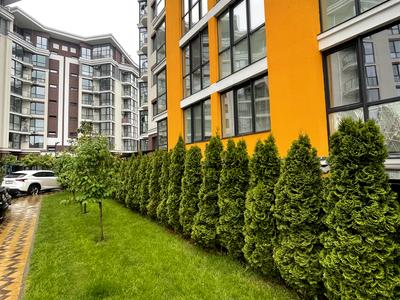 квартира по адресу Прорізна ул., 1