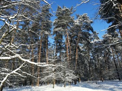 квартира за адресою Клавдіївська вул., 40-Е