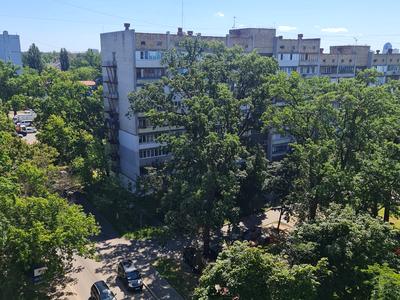 квартира по адресу Михаила Котельникова ул., 80