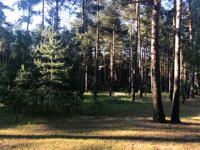 будинок за адресою Петра Сагайдачного, 50