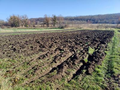 будинок за адресою с. Воронівка, Конєва, 93
