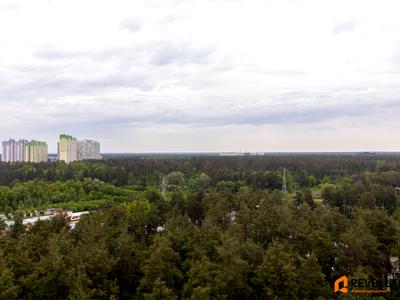 квартира за адресою Олевська вул., 5