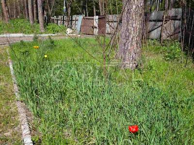 участок по адресу Соснова, 4