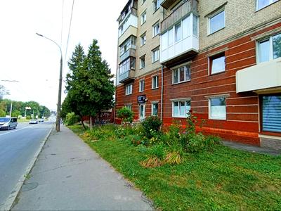 коммерческая по адресу Каменецкая ул., 101