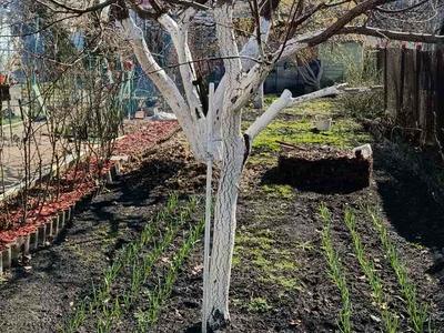 будинок за адресою с. Підгірці, Садова вул.